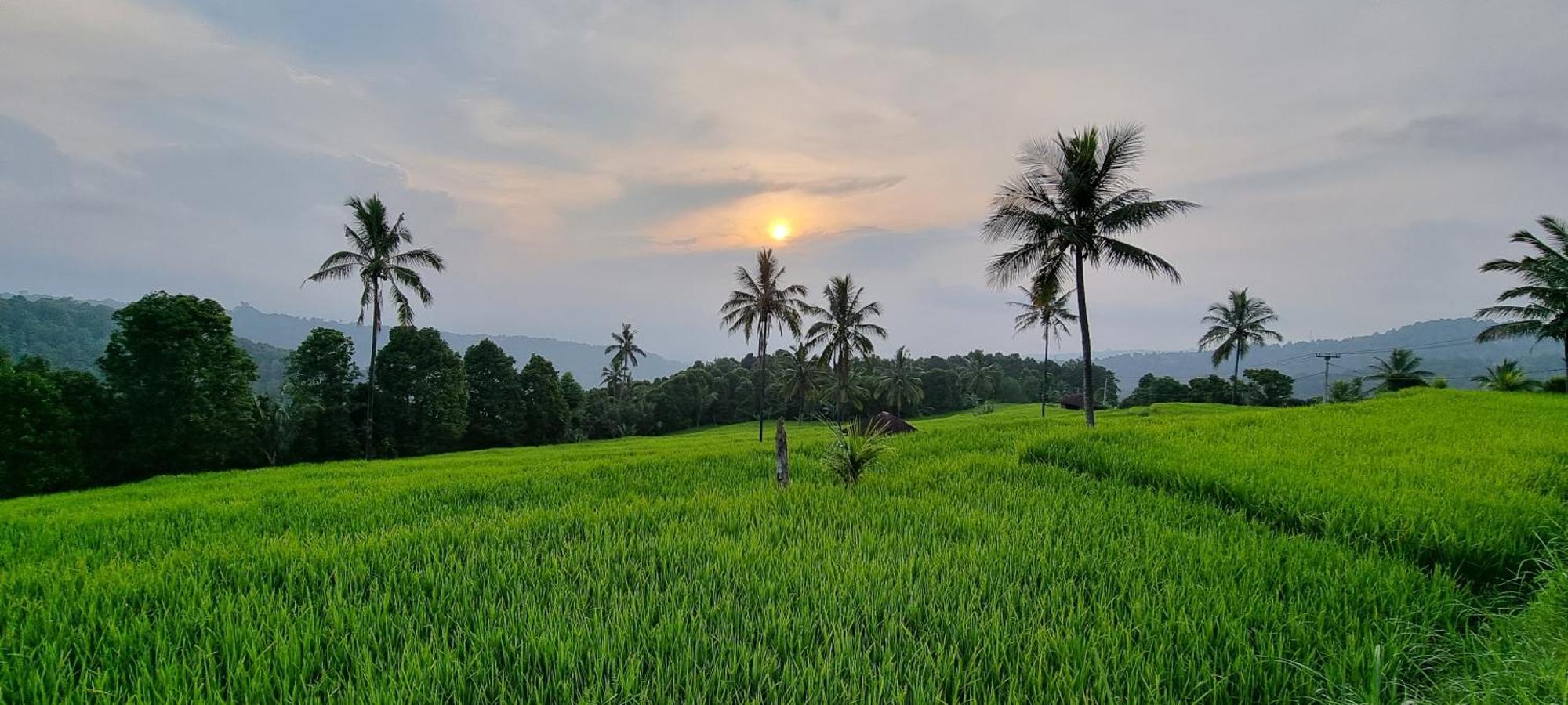 Utopiaku - Munduk Highlands Villa Bagian luar foto