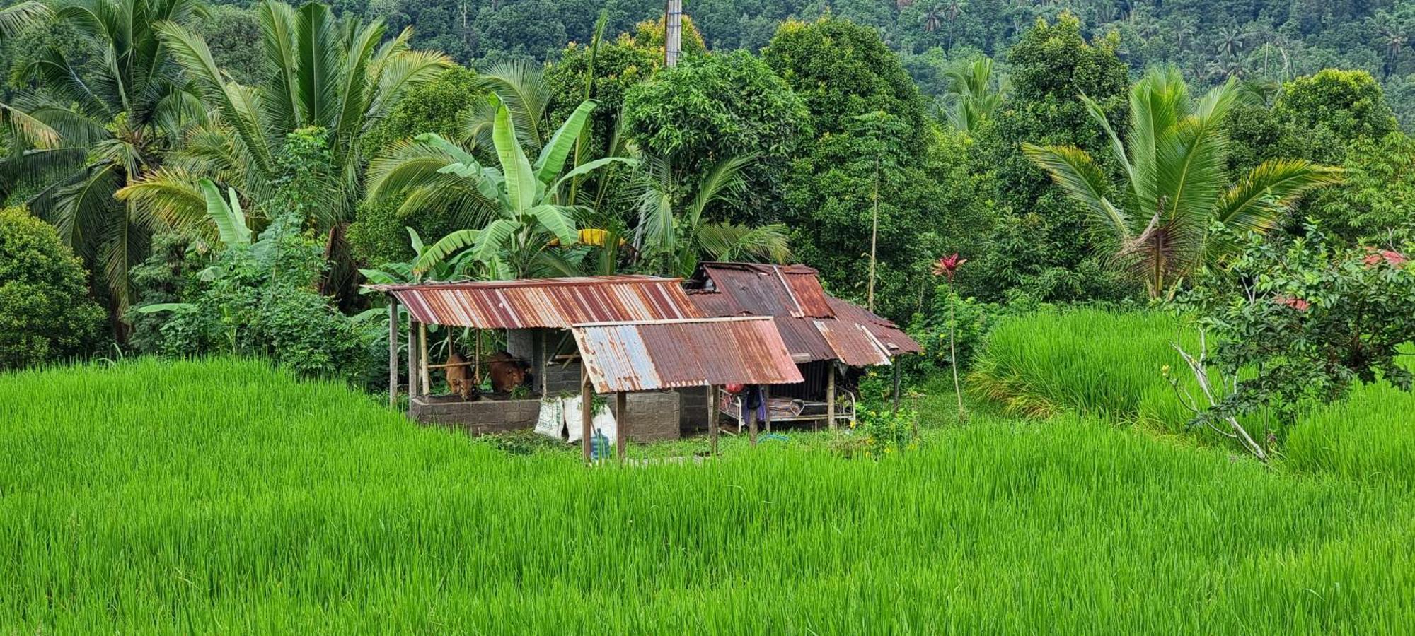 Utopiaku - Munduk Highlands Villa Bagian luar foto