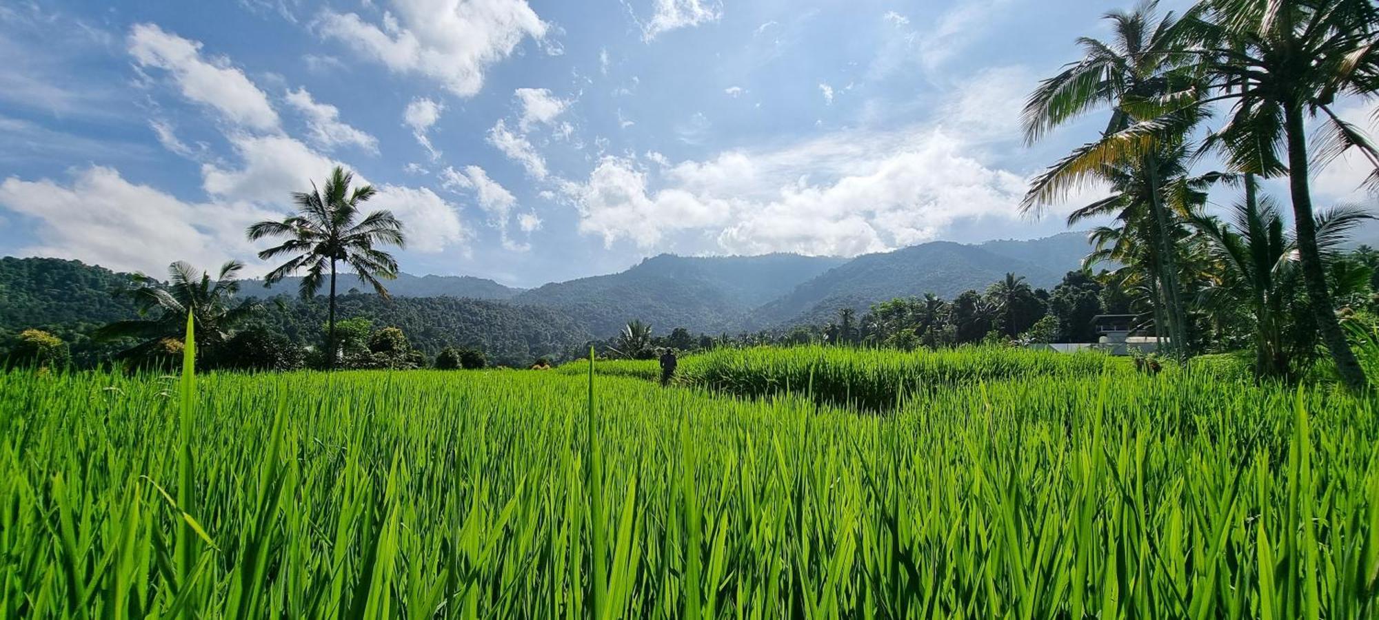 Utopiaku - Munduk Highlands Villa Bagian luar foto