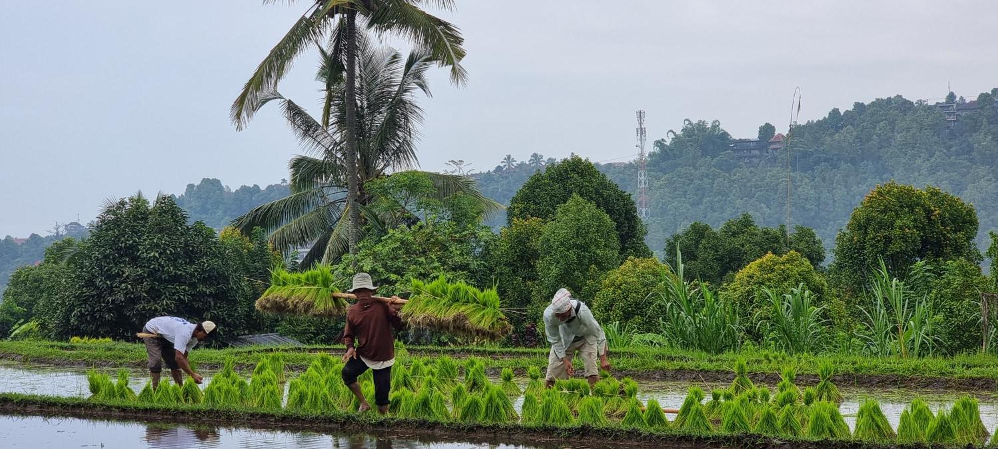 Utopiaku - Munduk Highlands Villa Bagian luar foto