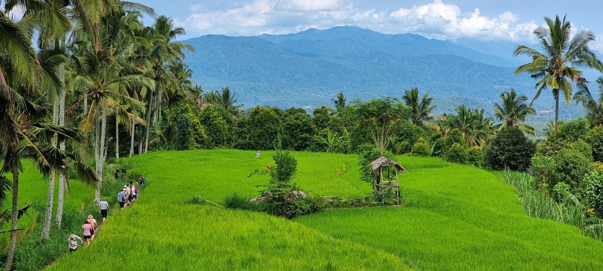 Utopiaku - Munduk Highlands Villa Bagian luar foto